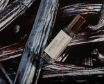 TOUJOURS | Huile de Parfum